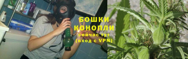 PSILOCYBIN Новокубанск