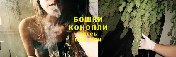 прущие крисы Новодвинск