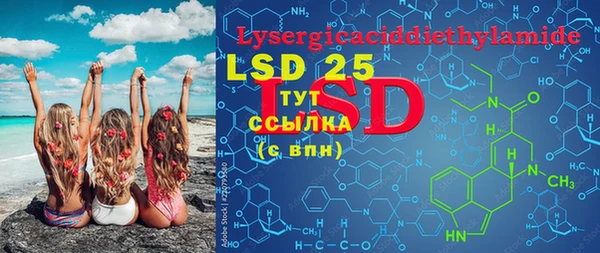 PSILOCYBIN Новокубанск