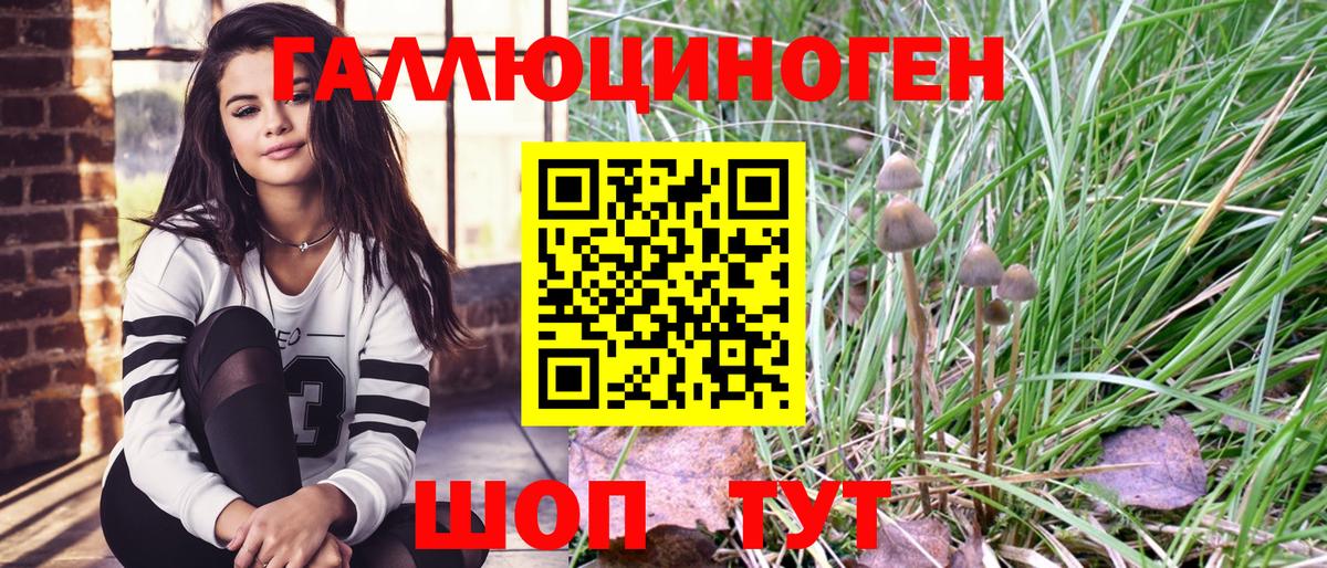 Галлюциногенные грибы мицелий  Галлюциногенные грибы мухоморы  Курчалой 