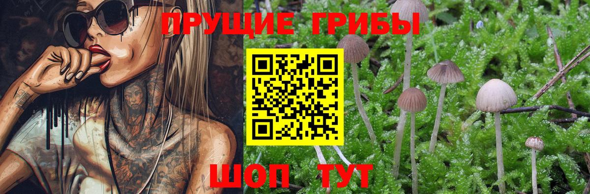 Псилоцибиновые грибы мухоморы Курчалой