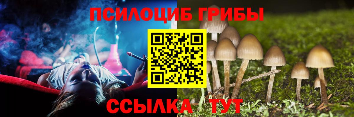 Галлюциногенные грибы Cubensis  Вход с VPN  Курчалой 